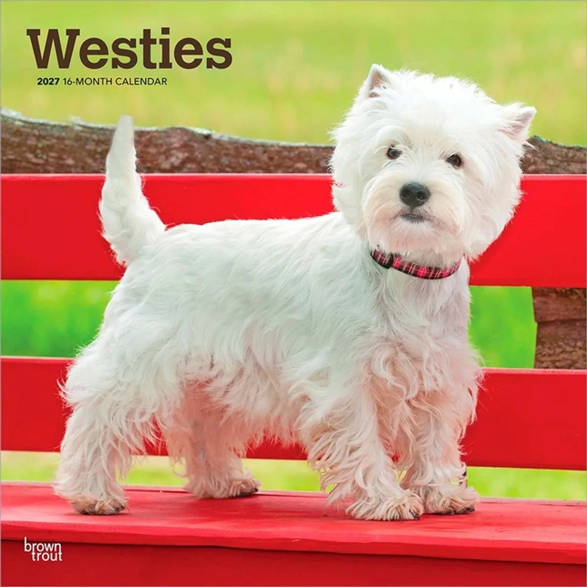 West Highland White Terrier Kalender 2027 van BrownTrout in Rood – productfoto