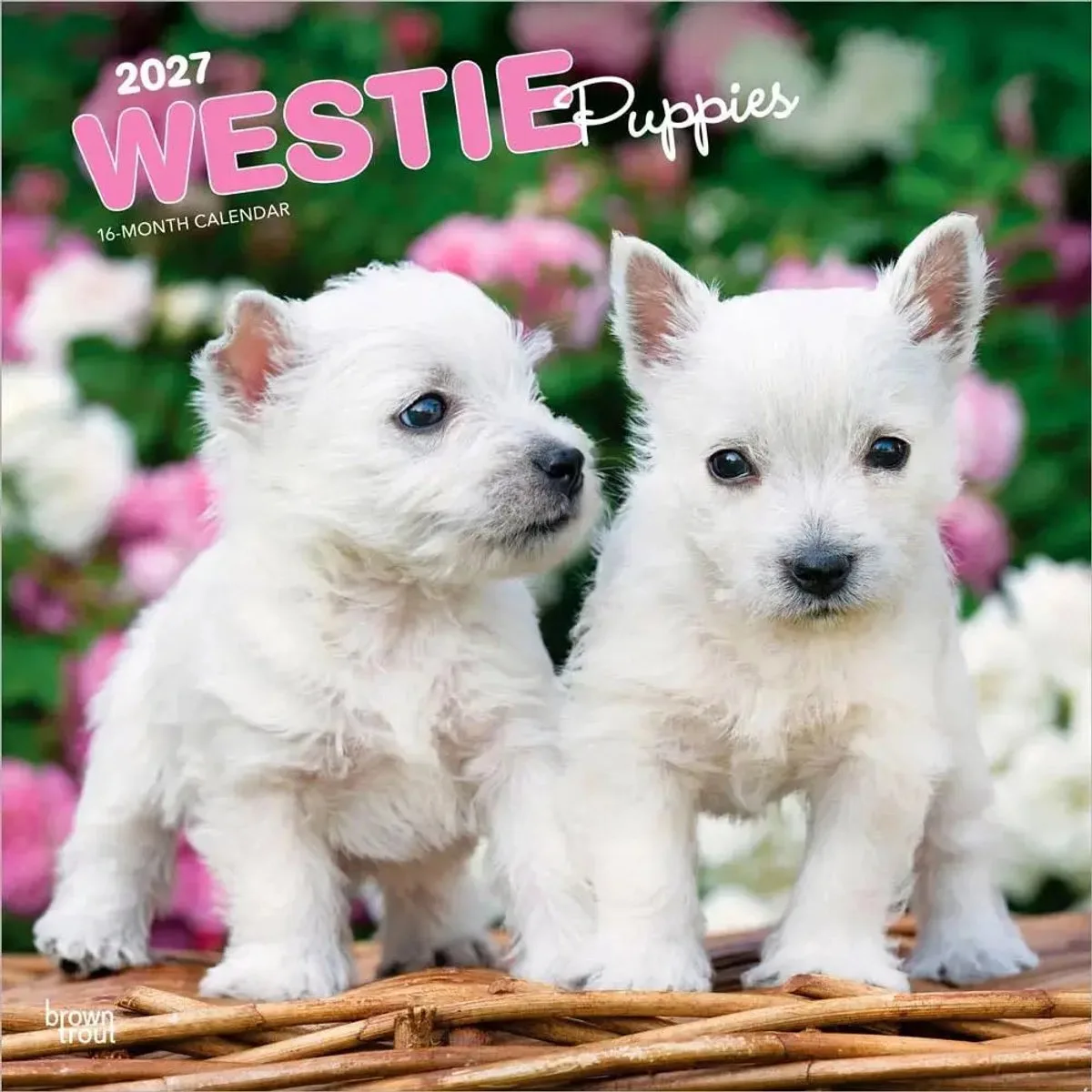 West Highland White Terrier Puppies Kalender 2027 von BrownTrout – Produktfoto