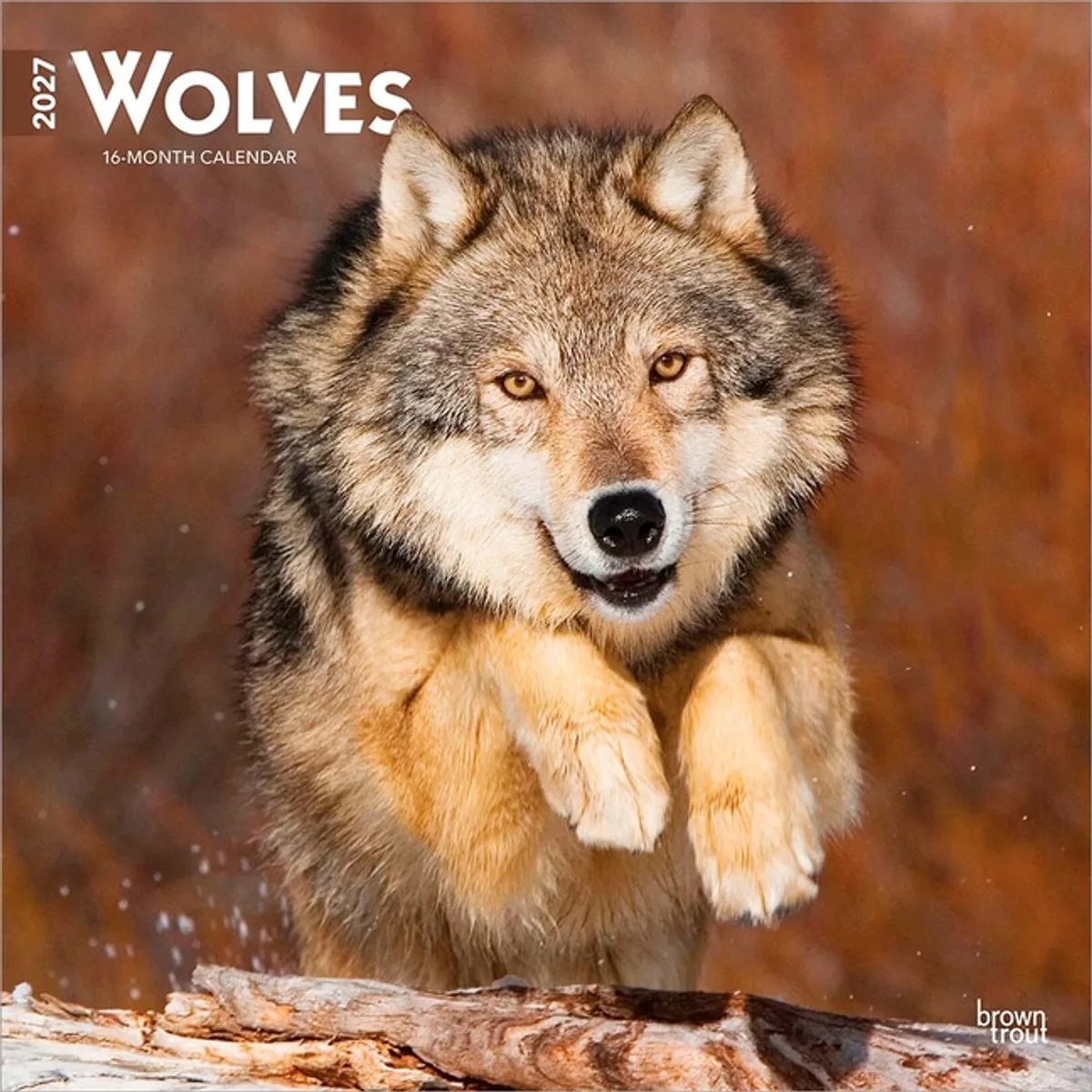Wolven Kalender 2027 de BrownTrout – photo produit