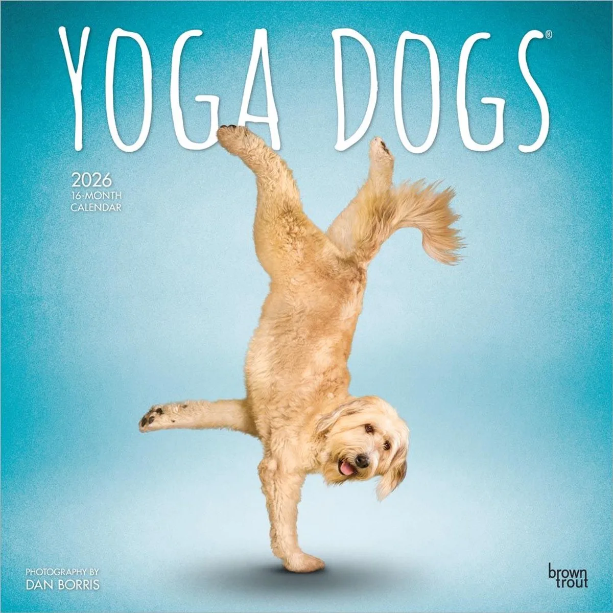 Yoga Dogs Kalender 2026 de BrownTrout en Multicolore – photo produit