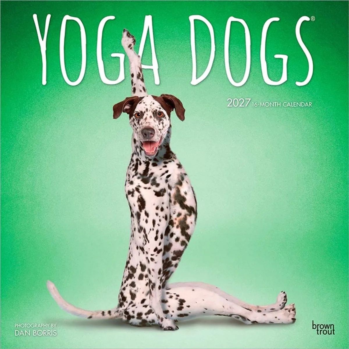 Yoga Dogs Kalender 2027 fra BrownTrout – produktbillede