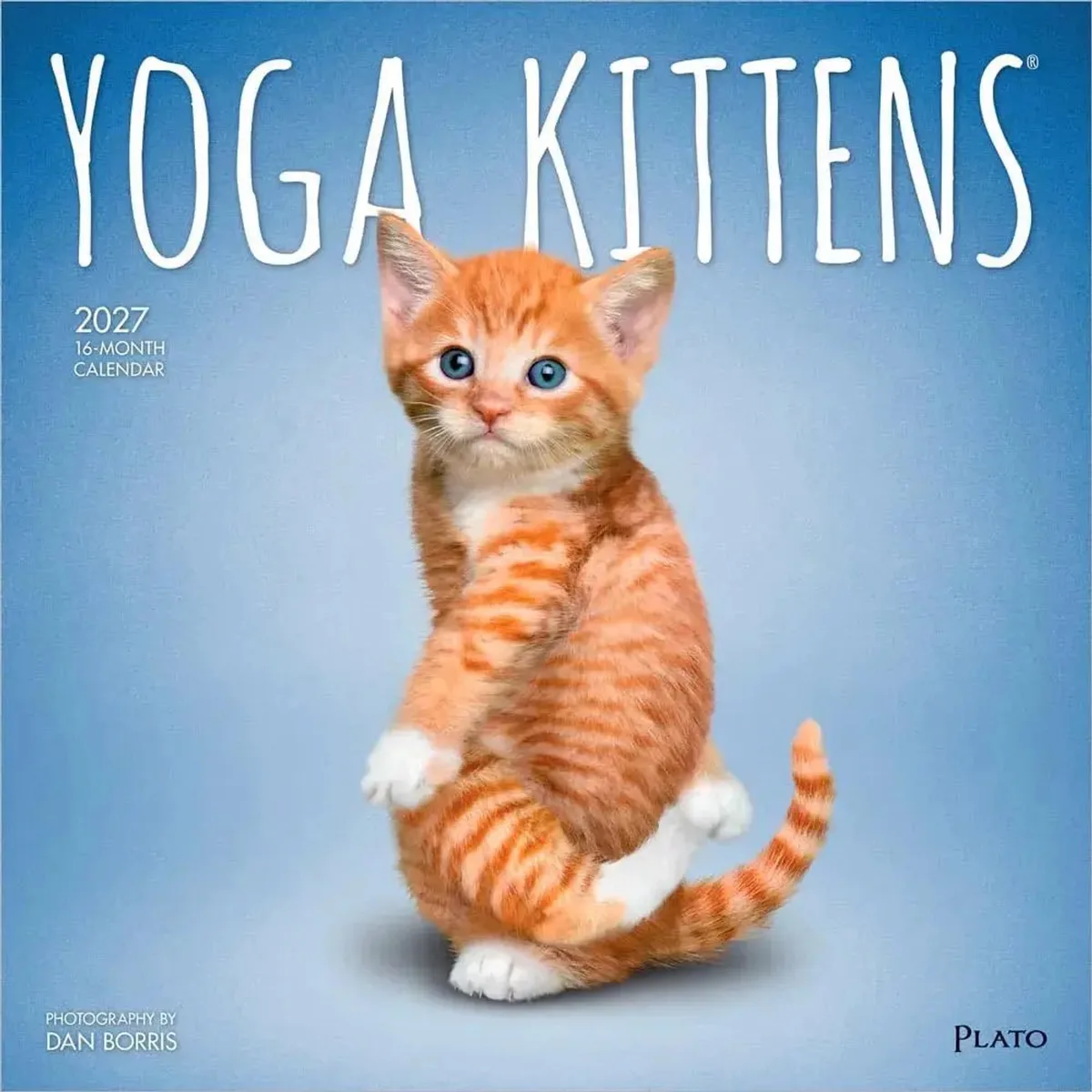 Yoga Kittens Kalender 2027 de BrownTrout – photo produit