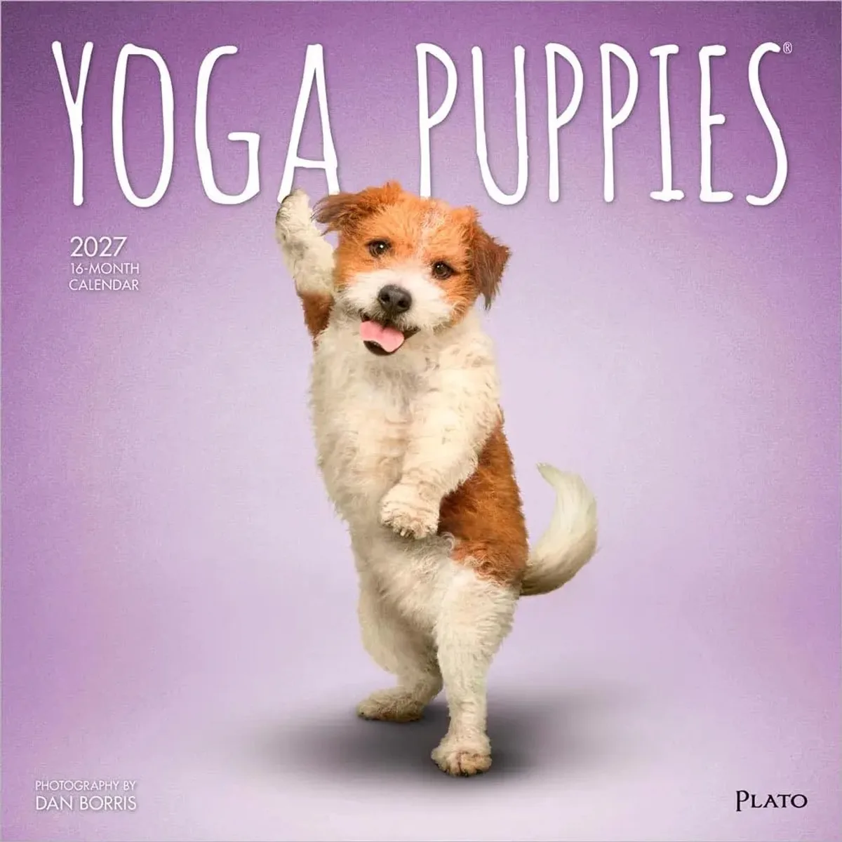 Yoga Puppies Kalender 2027 van BrownTrout – productfoto
