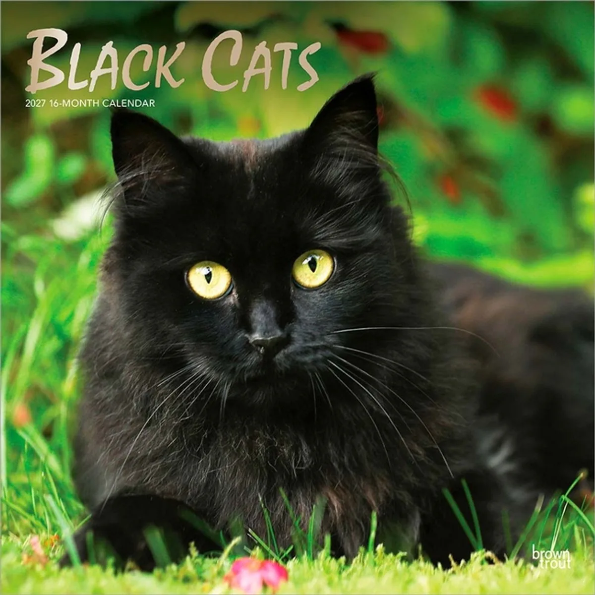 Zwarte Katten Kalender 2027 van BrownTrout in Zwart – productfoto