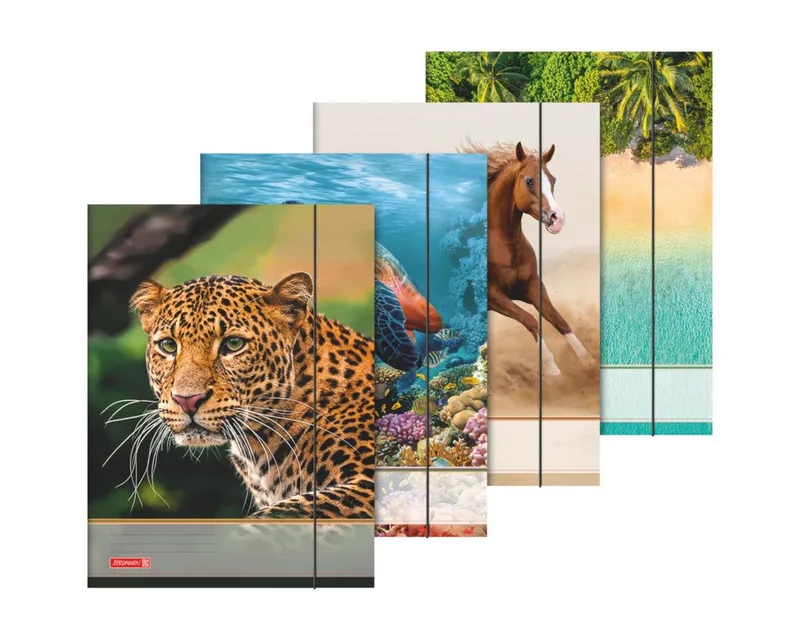 Organisationsmappe BRUNNEN Sammelmappe für A3, 1 Stück, 4-fach sortiert by Brunnen – product photo