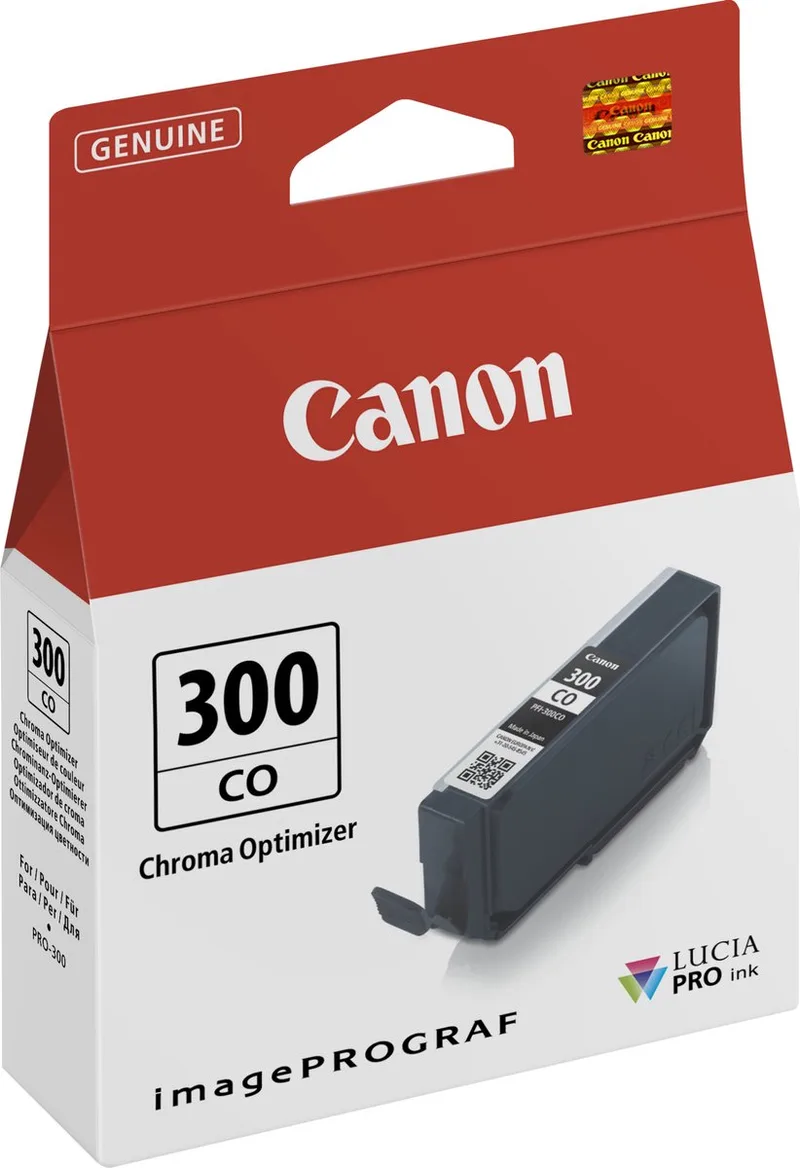 Original Ink Cartridge Canon 300 de Canon en Noir – photo produit