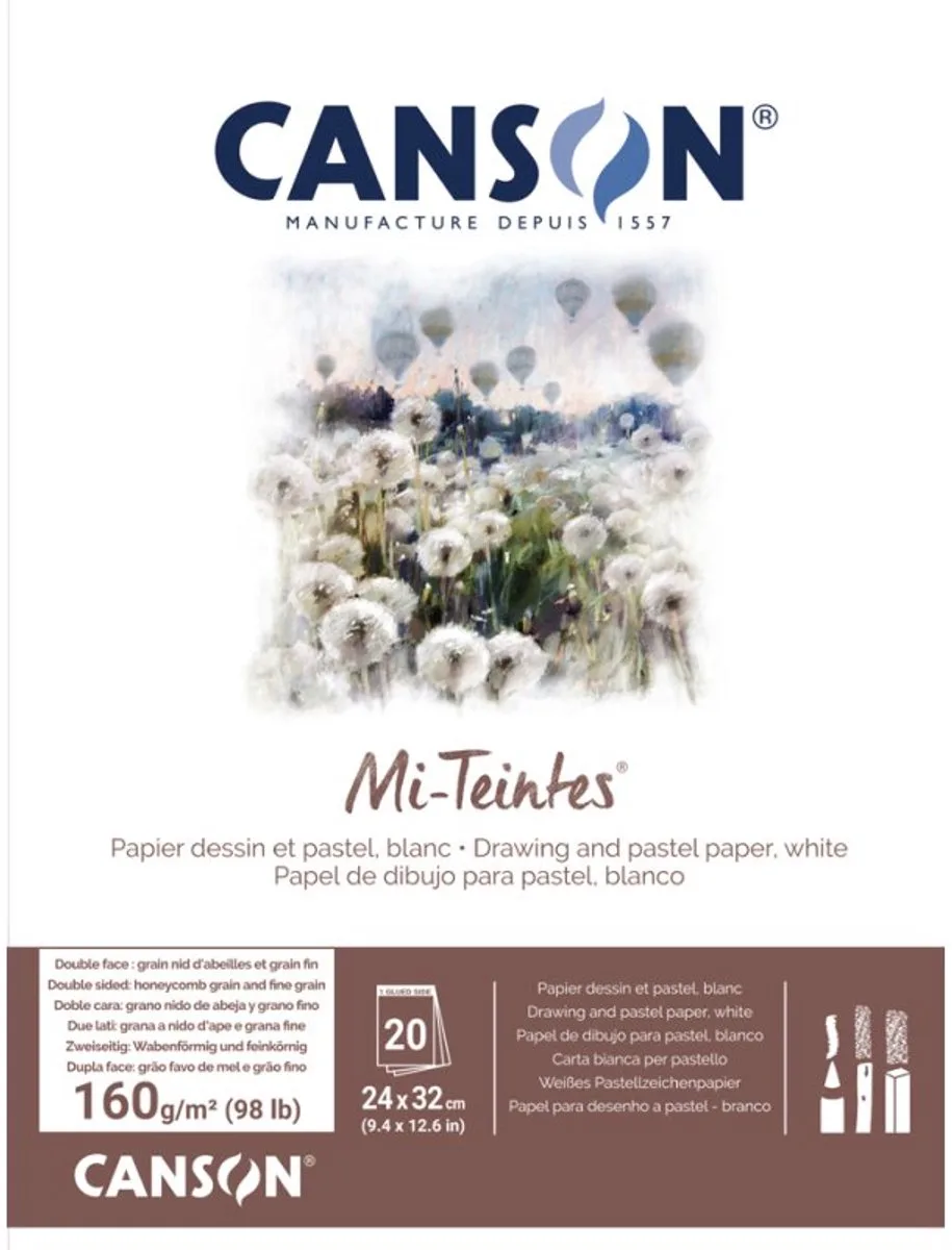 tekenblok Mi-Teintes, 320×410 mm, gesorteerd, 20 vel de Canson en Gris – photo produit
