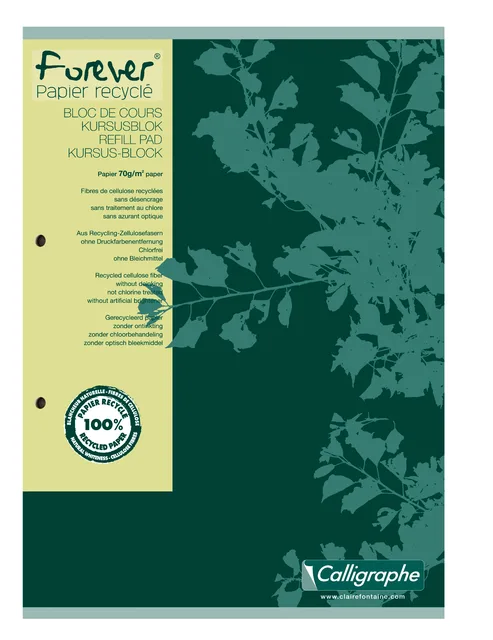 Cursusblok Clairfontaine Forever Calligraphe A4 lijn 2-gaats 200 pagina's 70gr groen van Clairefontaine – productfoto