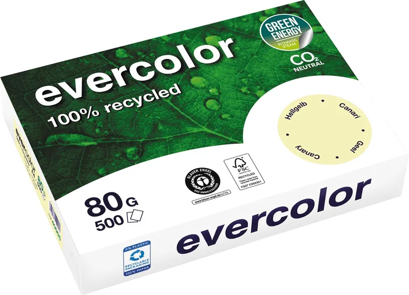 Evercolor, gekleurd gerecycleerd papier, A4, 80 g, 500 vel, geel van Clairefontaine – productfoto