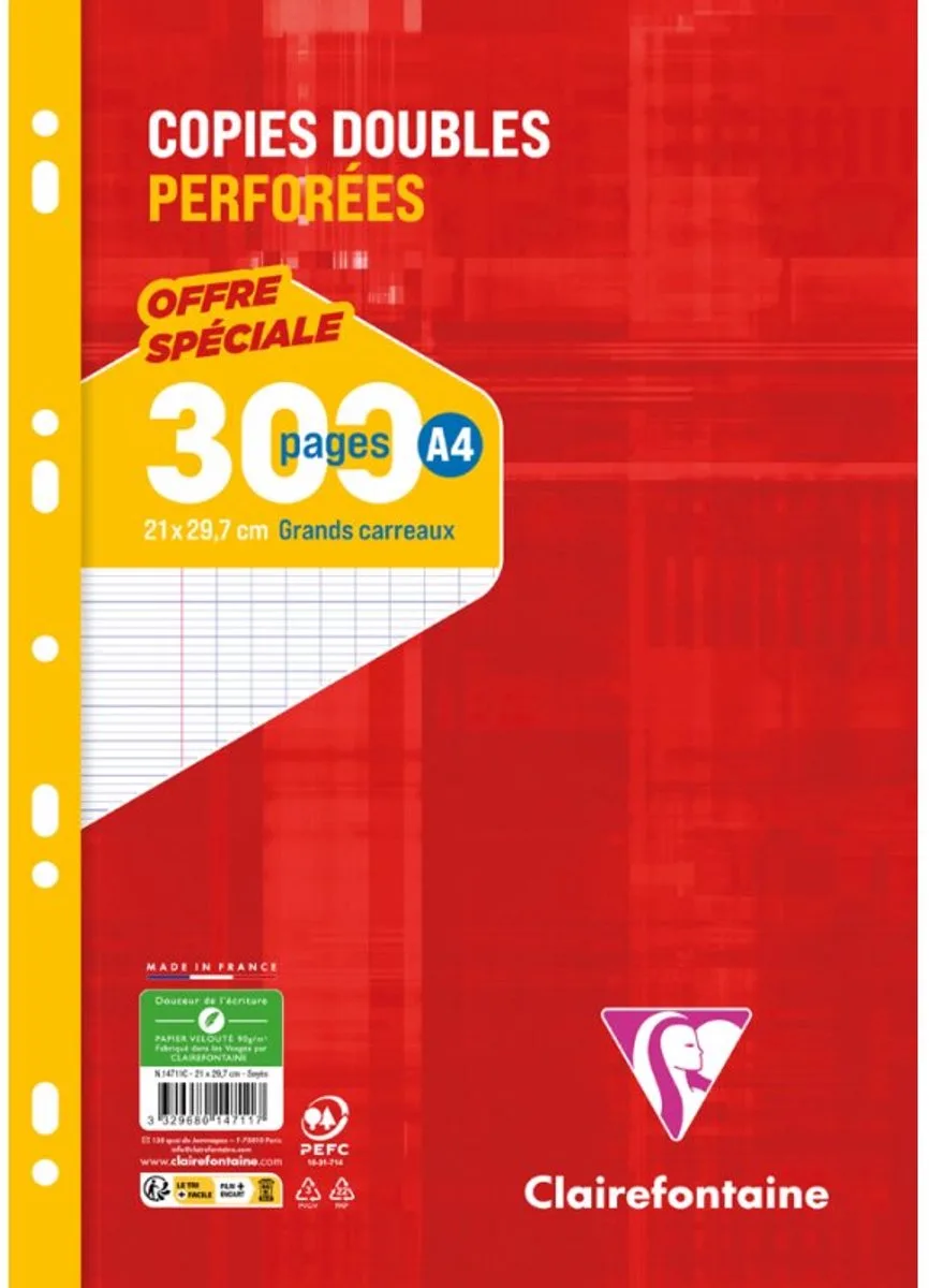 geperforeerde schrijfblokken A4, geruit 5×5, 90g papier, 300 pagina's by Clairefontaine in Red – product photo