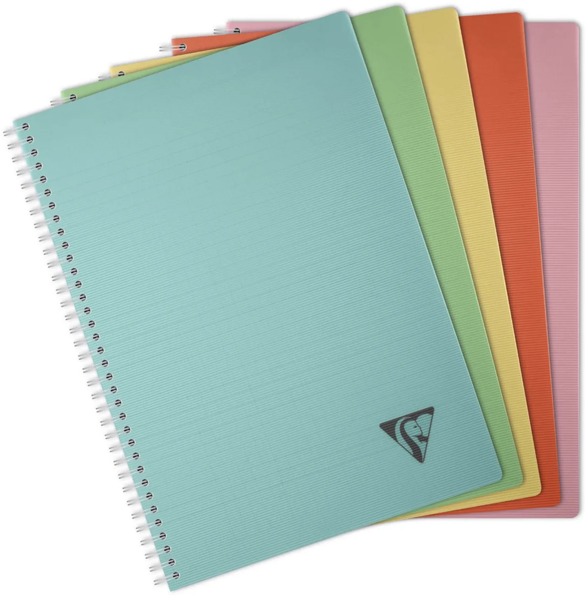LINICOLOR gebonden schrift, A4 van Clairefontaine – productfoto