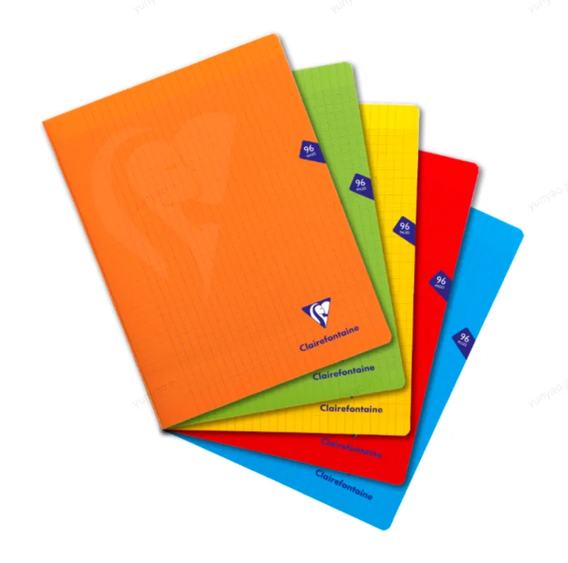 Lot de 5 carnets Mimesys, 24x32 cm, 96 pages, grands carreaux de Clairefontaine – photo produit