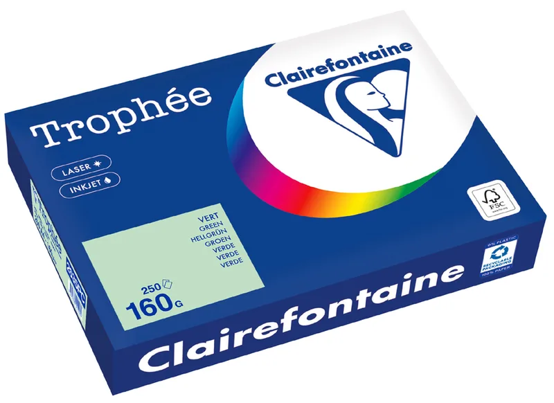 Multifunktionspapier Trophée, A4, billardgrün by Clairefontaine – product photo
