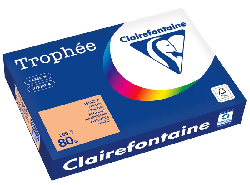 Multifunktionspapier Trophée, A4, heckenrose von Clairefontaine – Produktfoto