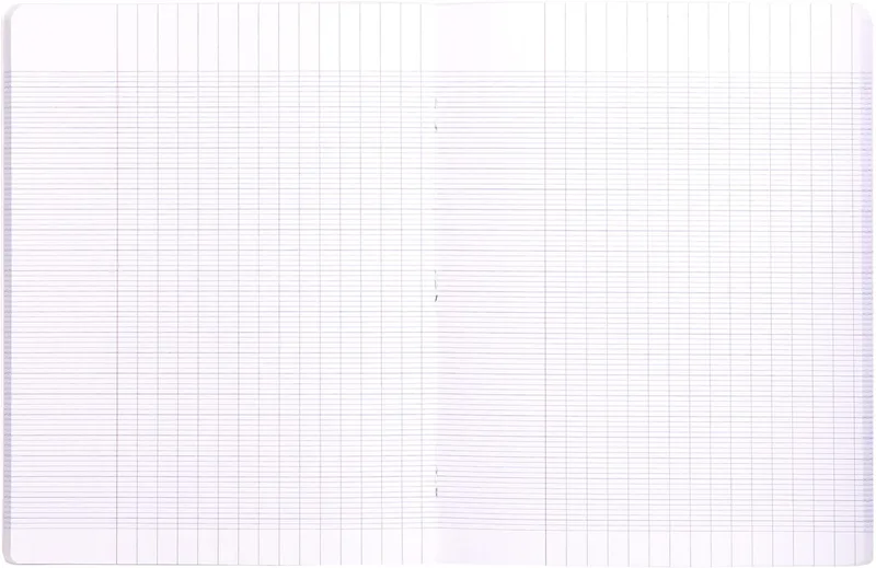 schrift Mimesys voor ft A4+, 96 bladzijden, kaft in PP, seyès, oranje by Clairefontaine – product photo