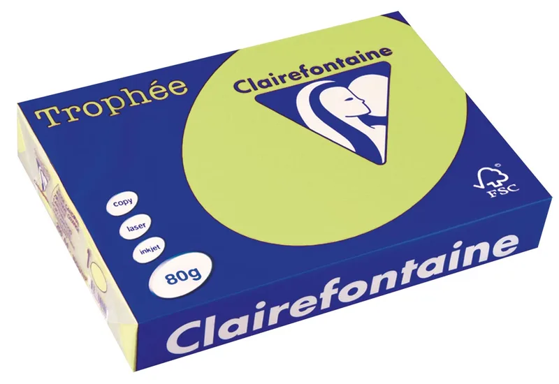 Trophée gekleurd papier, A4, 80 g, 500 vel, golfgroen by Clairefontaine – product photo