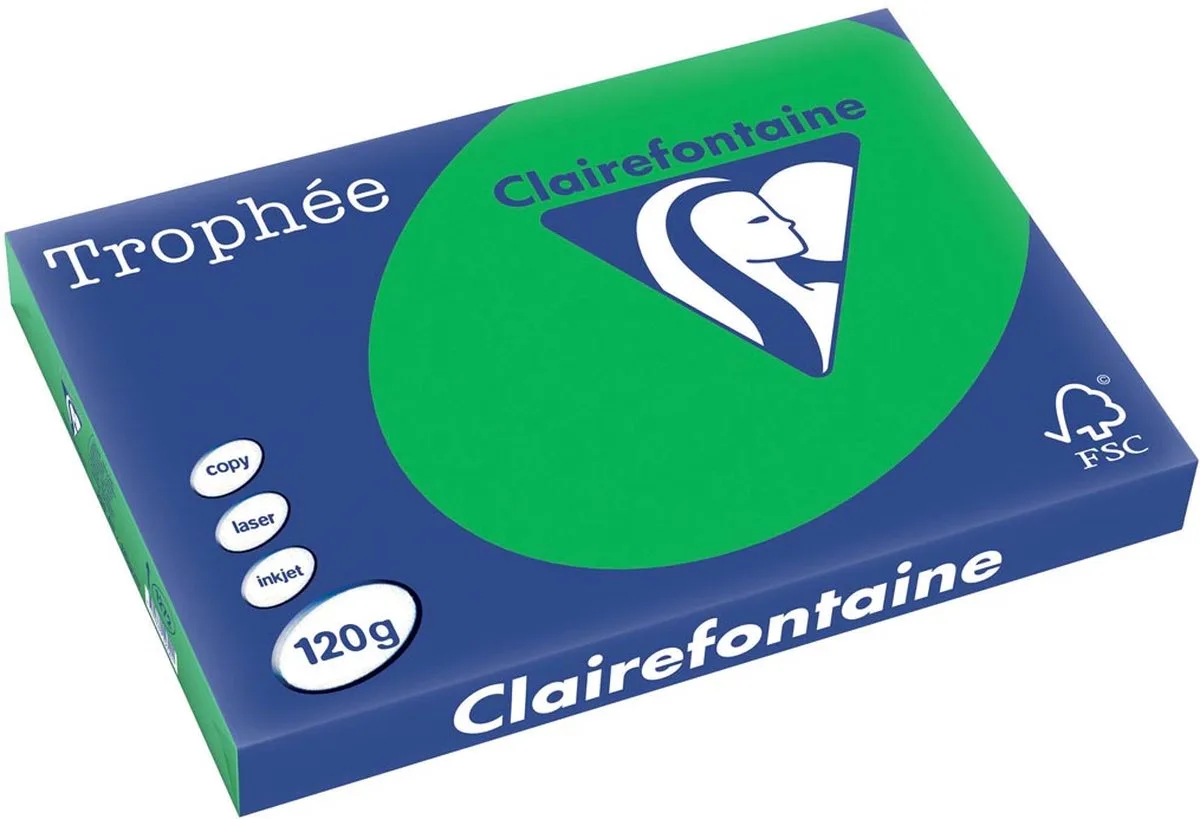 Trophée Intens, gekleurd papier, 120 g, 250 vel, bijartgroen 5 stuks van Clairefontaine in A3 – productfoto