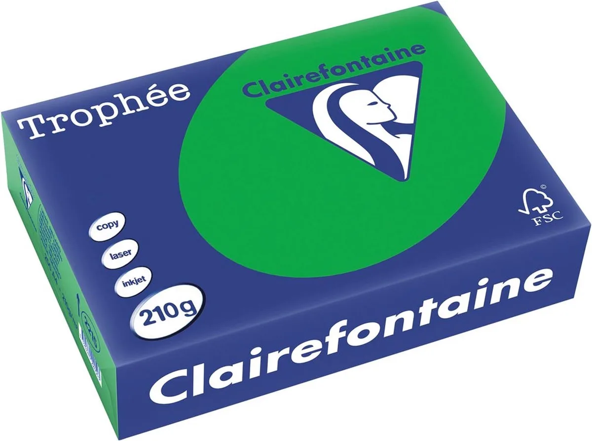 Trophée Intens, gekleurd papier, 210 g, 250 vel, bijartgroen 4 stuks van Clairefontaine in A4 – productfoto