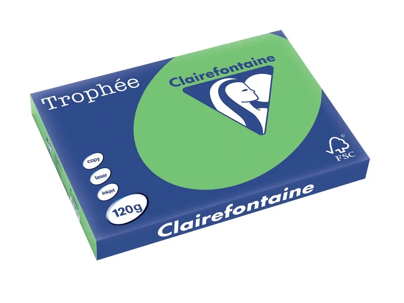 Trophée Intens, gekleurd papier, A3, 120 g, 250 vel, grasgroen von Clairefontaine – Produktfoto