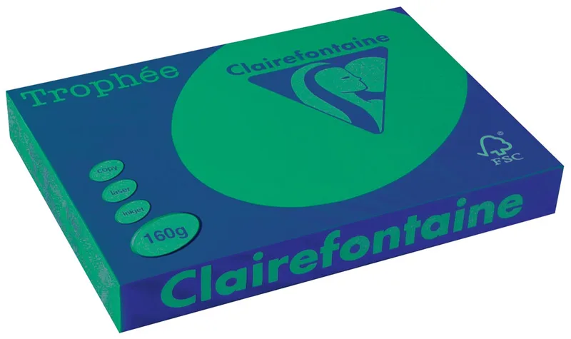 Trophée Intens, gekleurd papier, A3, 160 g, 250 vel, dennengroen van Clairefontaine – productfoto