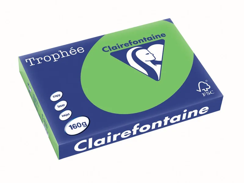 Trophée Intens, gekleurd papier, A3, 160 g, 250 vel, grasgroen von Clairefontaine – Produktfoto