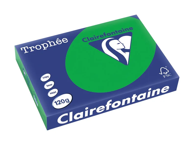 Trophée Intens, gekleurd papier, A4, 120 g, 250 vel, bijartgroen van Clairefontaine – productfoto