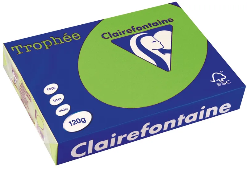 Trophée Intens, gekleurd papier, A4, 120 g, 250 vel, grasgroen van Clairefontaine – productfoto