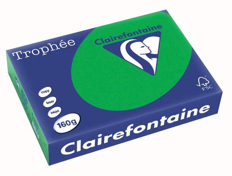 Trophée Intens, gekleurd papier, A4, 160 g, 250 vel, bijartgroen van Clairefontaine – productfoto