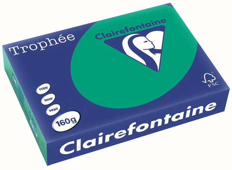Trophée Intens, gekleurd papier, A4, 160 g, 250 vel, dennengroen van Clairefontaine – productfoto