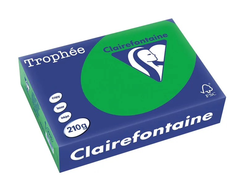 Trophée Intens, gekleurd papier, A4, 210 g, 250 vel, bijartgroen van Clairefontaine – productfoto
