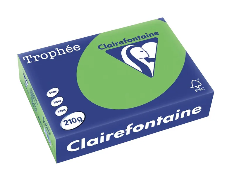 Trophée Intens, gekleurd papier, A4, 210 g, 250 vel, grasgroen von Clairefontaine – Produktfoto