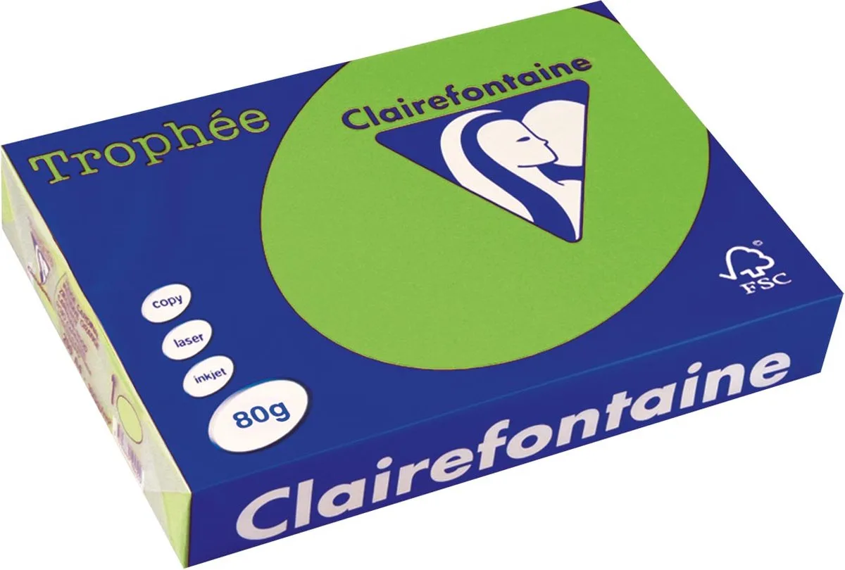 Trophée Intens, gekleurd papier, A4, 80 g, 500 vel, muntgroen 5 stuks de Clairefontaine en Vert – photo produit