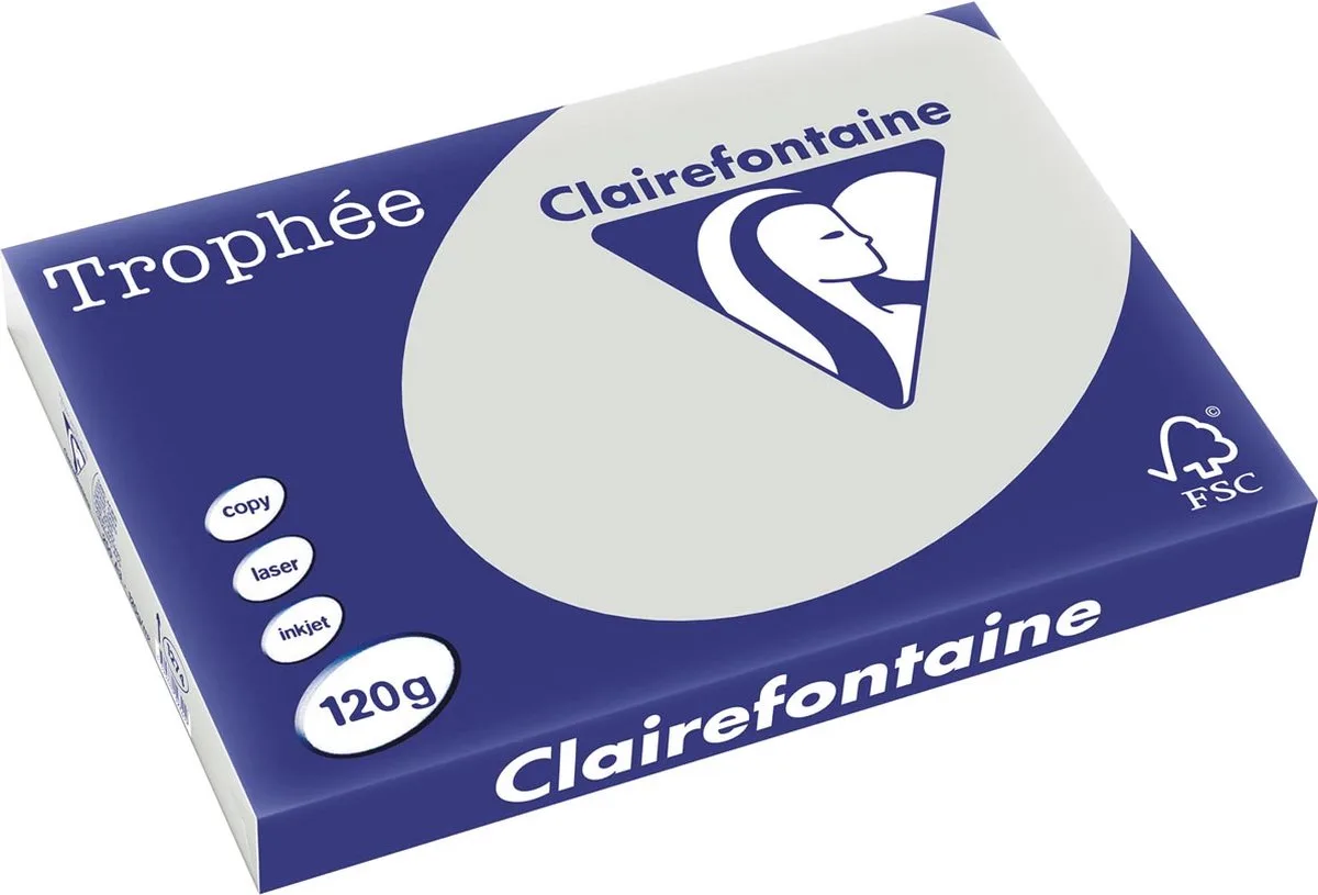 Trophée Pastel, gekleurd papier, 120 g, 250 vel, lichtgrijs 5 stuks de Clairefontaine en A3 – photo produit