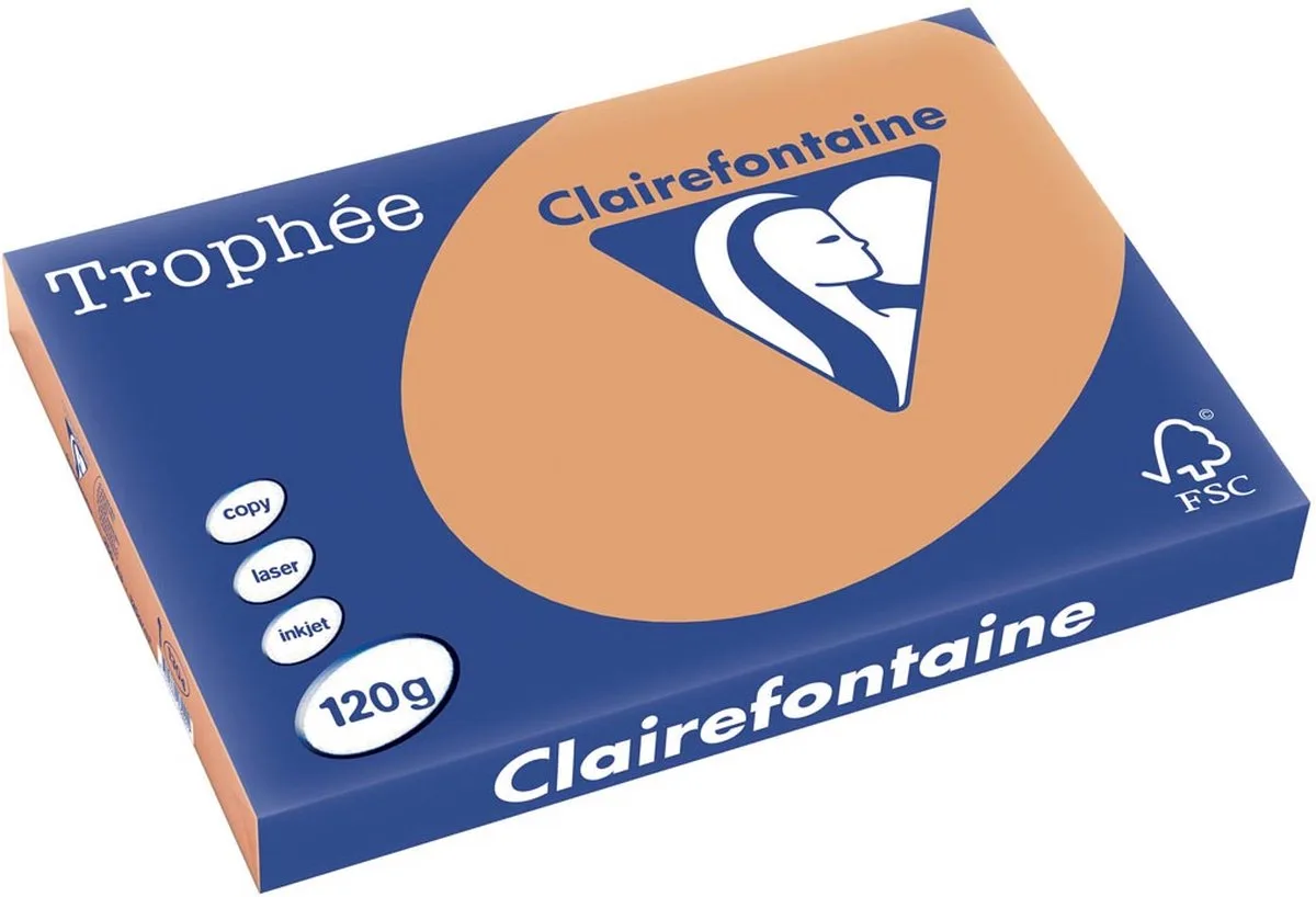 Trophée Pastel, gekleurd papier, 120 g, 250 vel, mokkabruin 5 stuks de Clairefontaine en A3 – photo produit