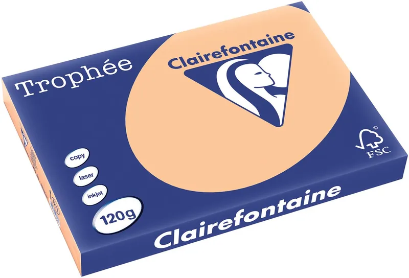 Trophée Pastel, gekleurd papier, A3, 120 g, 250 vel, abrikoos van Clairefontaine – productfoto