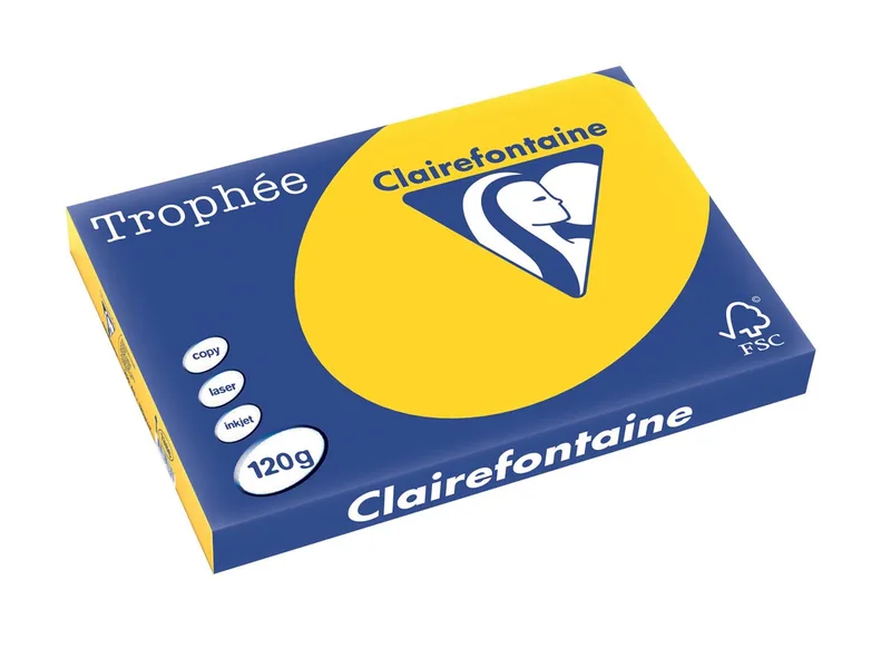 Trophée Pastel, gekleurd papier, A3, 120 g, 250 vel, goudgeel von Clairefontaine – Produktfoto