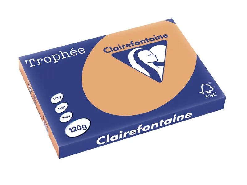 Trophée Pastel, gekleurd papier, A3, 120 g, 250 vel, mokkabruin von Clairefontaine – Produktfoto