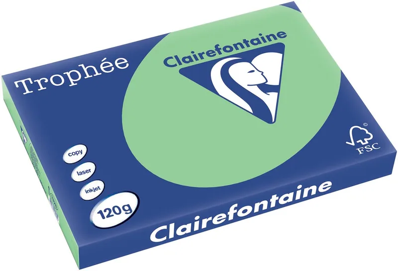 Trophée Pastel, gekleurd papier, A3, 120 g, 250 vel, natuurgroen von Clairefontaine – Produktfoto