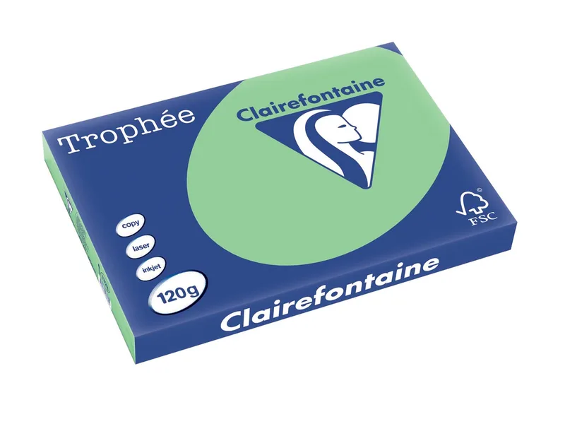 Trophée Pastel, gekleurd papier, A3, 120 g, 250 vel, natuurgroen von Clairefontaine – Produktfoto