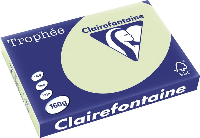 Trophée Pastel, gekleurd papier, A3, 160 g, 250 vel, golfgroen von Clairefontaine – Produktfoto
