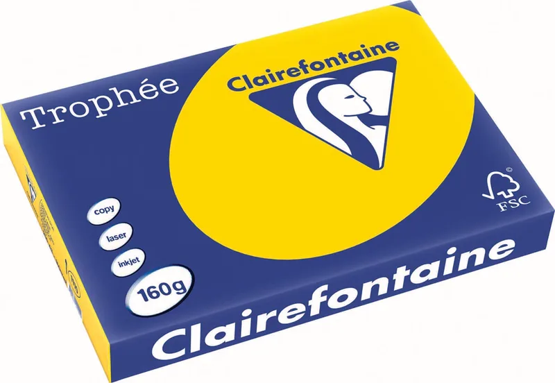 Trophée Pastel, gekleurd papier, A3, 160 g, 250 vel, goudgeel von Clairefontaine – Produktfoto