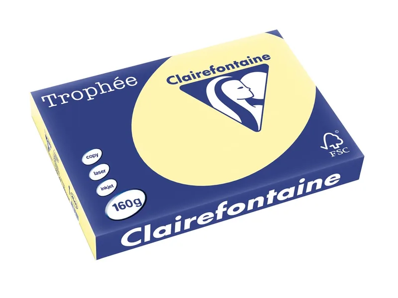 Trophée Pastel, gekleurd papier, A3, 160 g, 250 vel, kanariegeel von Clairefontaine – Produktfoto