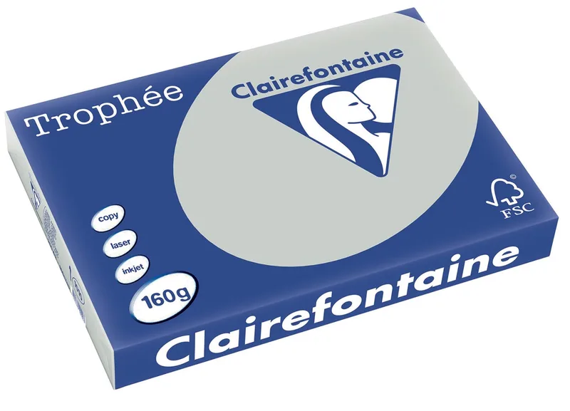 Trophée Pastel, gekleurd papier, A3, 160 g, 250 vel, lichtgrijs von Clairefontaine – Produktfoto