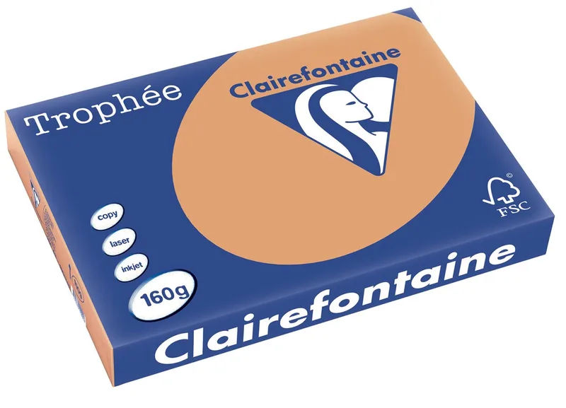 Trophée Pastel, gekleurd papier, A3, 160 g, 250 vel, mokkabruin by Clairefontaine – product photo