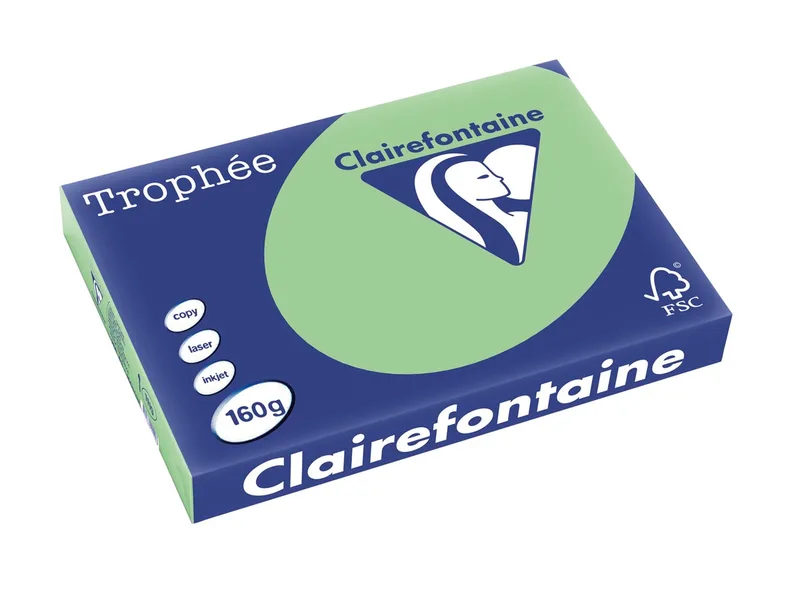 Trophée Pastel, gekleurd papier, A3, 160 g, 250 vel, natuurgroen by Clairefontaine – product photo