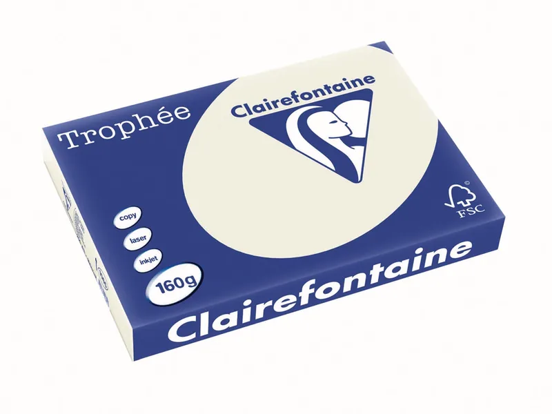 Trophée Pastel, gekleurd papier, A3, 160 g, 250 vel, parelgrijs van Clairefontaine – productfoto
