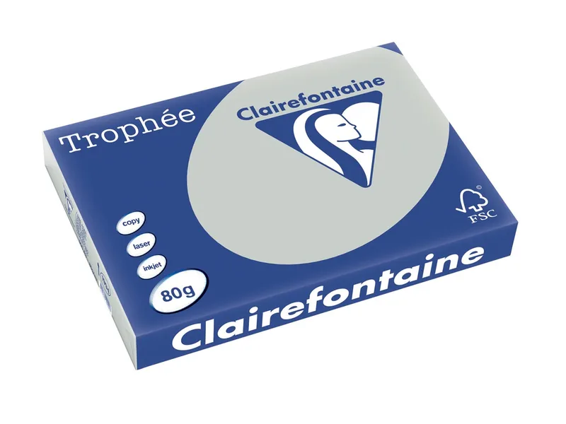 Trophée Pastel, gekleurd papier, A3, 80 g, 500 vel, lichtgrijs by Clairefontaine – product photo