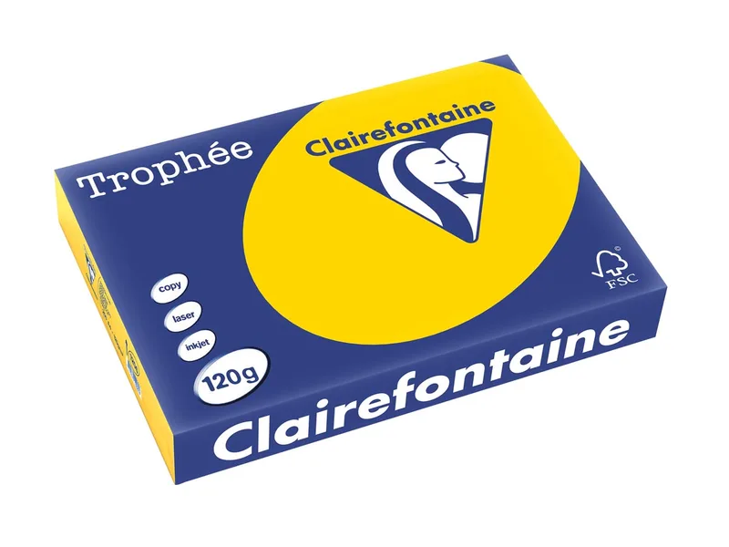 Trophée Pastel, gekleurd papier, A4, 120 g, 250 vel, goudgeel von Clairefontaine – Produktfoto