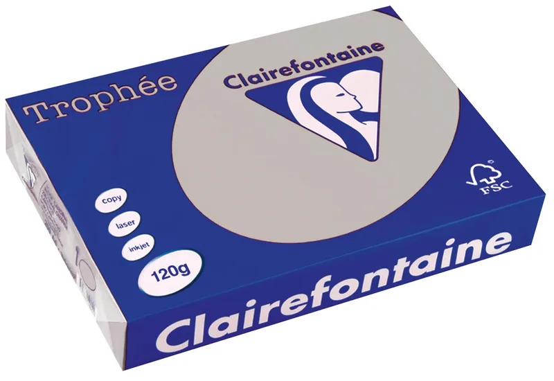 Trophée Pastel, gekleurd papier, A4, 120 g, 250 vel, lichtgrijs by Clairefontaine – product photo