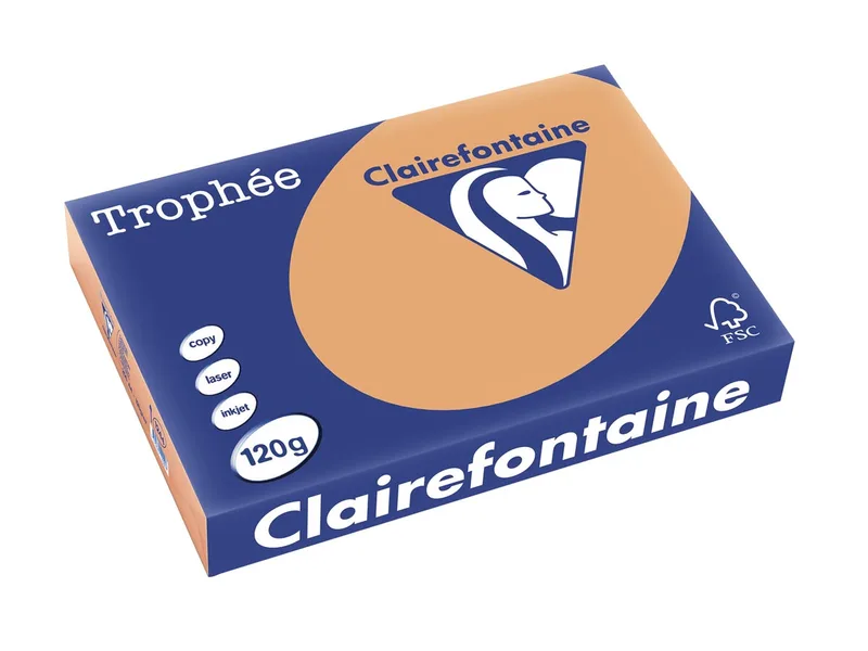 Trophée Pastel, gekleurd papier, A4, 120 g, 250 vel, mokkabruin by Clairefontaine – product photo